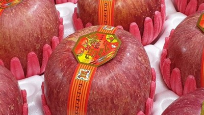 ✨ 놓치면 후회! 경북안동 햇사과 부사꿀사과 특가 후기🍎